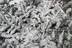 Śnieg we Wrocławiu na początek zimy