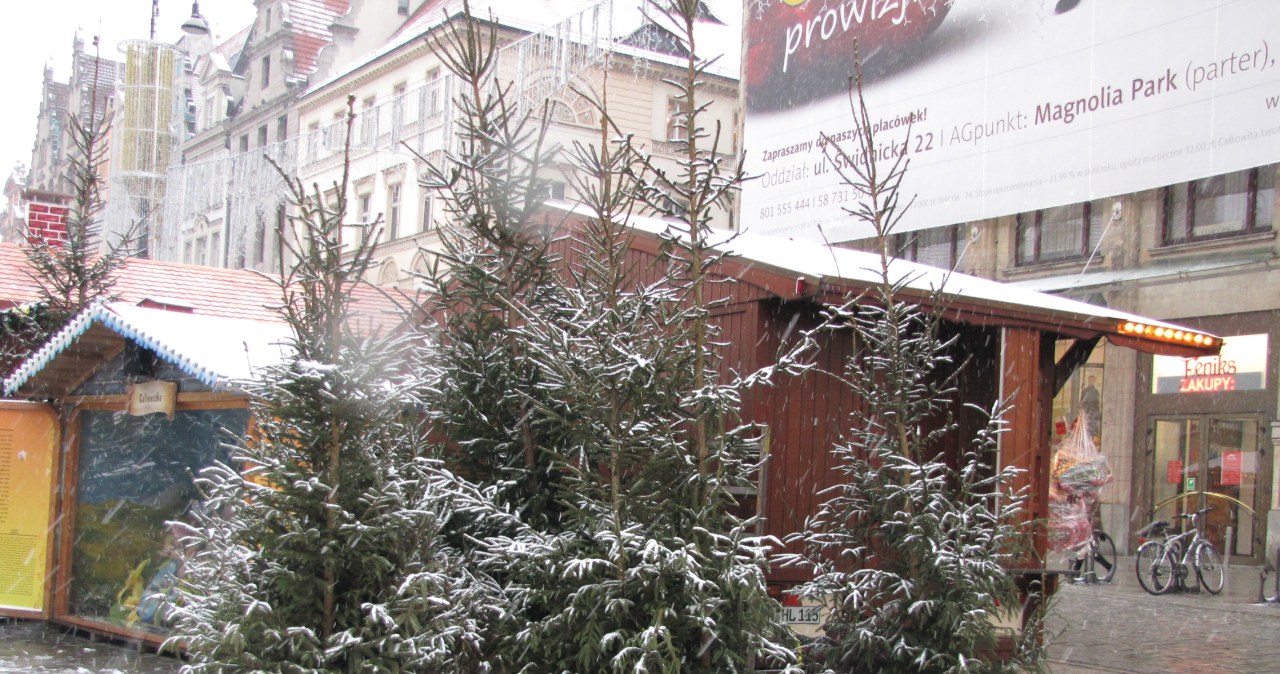 Śnieg we Wrocławiu na początek zimy