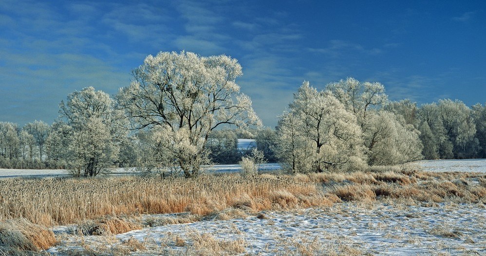 Śniegu będzie przybywać /Piotr Płaczkowski /Reporter