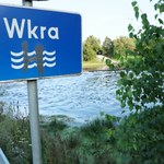 Śnięte ryby na Wkrze. Wody Polskie wskazały przyczynę