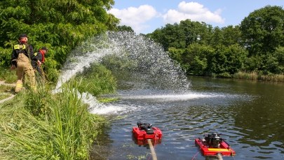 Śnięte ryby w Kanale Gliwickim. Wody Polskie interweniują