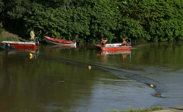 Śnięte ryby w Odrze. Oto prawdopodobna przyczyna