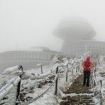 Śnieżka przykryta warstwą śniegu. Po raz pierwszy w tym sezonie