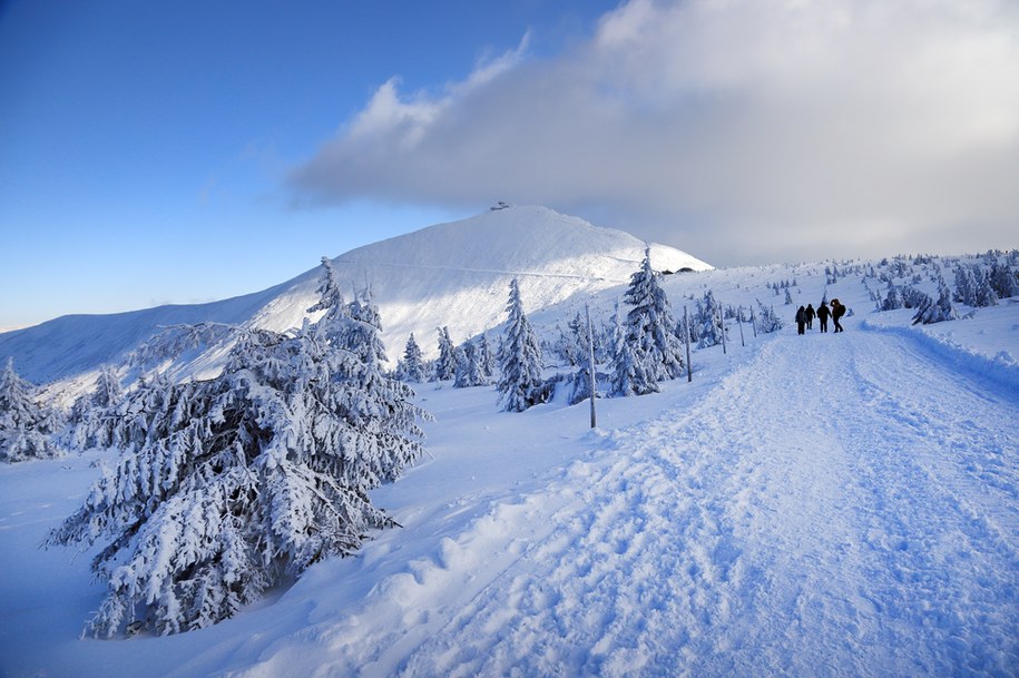 Śnieżka /Shutterstock