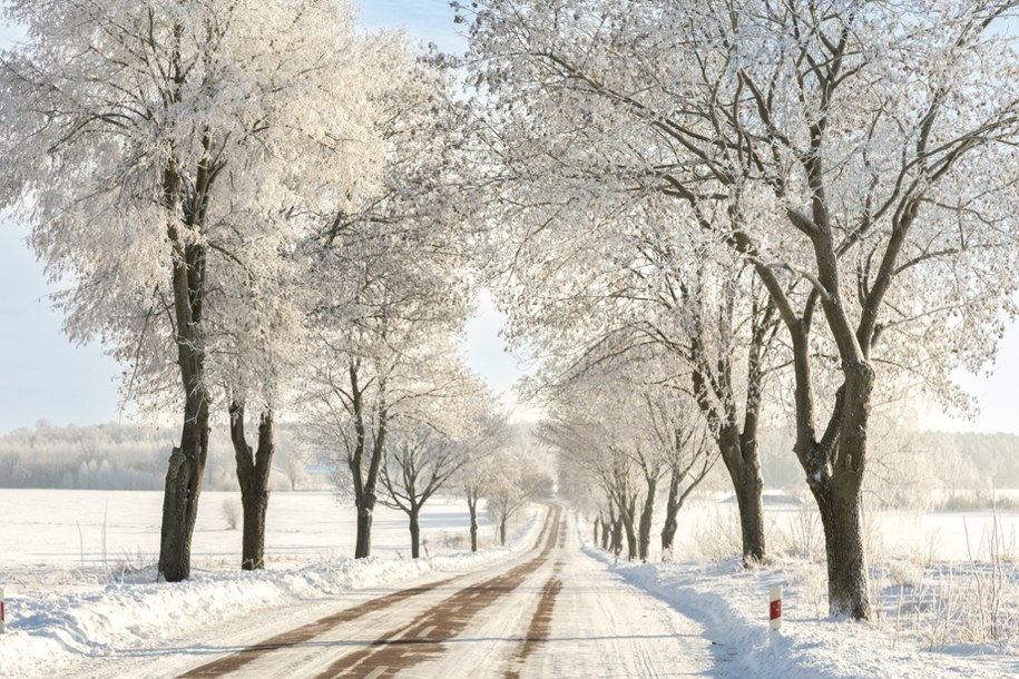 Śnieżne Święta i Sylwester 2025 – najnowsza prognoza pogody dla Polski /Shutterstock