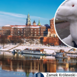 Śnieżny smok na Wawelu hitem internetu. Prawdziwa bestia! 