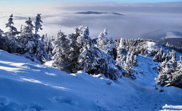 Śnieżny weekend w Beskidach. Na stokach warunki będą dobre, ale na szlakach - trudne