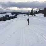 Śnieżona trasa biegowa w Białce Tatrzańskiej