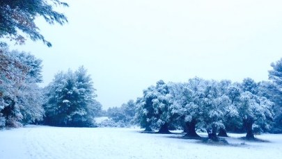 Śnieżyce sparaliżowały Riwierę Francuską 