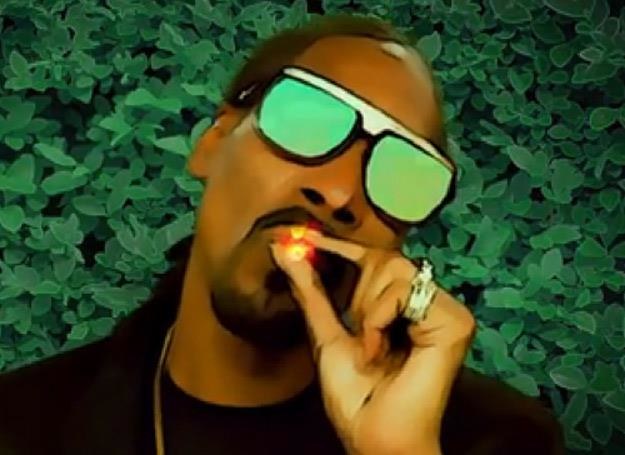 Snoop Dogg i jego charakterystyczne zielone krzaki ("bush") /Sony Music