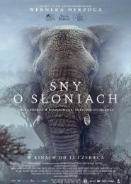 Sny o słoniach