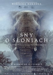 Sny o słoniach