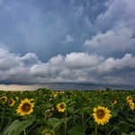 Sobota z dobrą pogodą. Miejscami opady deszczu