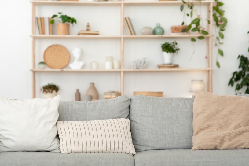 Sofa czy narożnik - co wybrać do swojego salonu? /Pixel