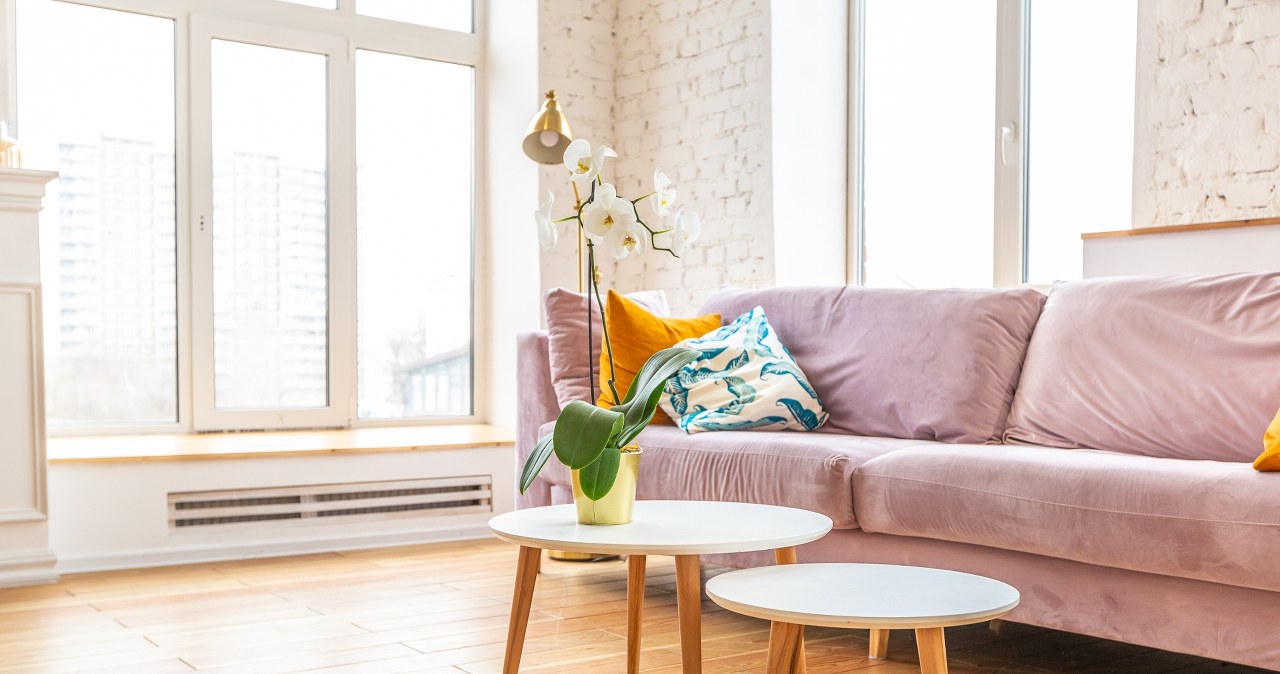 Sofa w odcieniu pudrowego różu może prezentować się stylowo przez wiele lat /Pixel