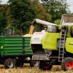 Soję importujemy w 90 proc. Rolnicy alarmują: Realne zagrożenie