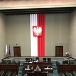 Sojusznicy będą mogli korzystać z broni polskiej armii. 428 posłów poparło ten pomysł