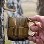 Sok z brzozy. Zapomniany lek prosto z lasu: na wątrobę, jelita, serce