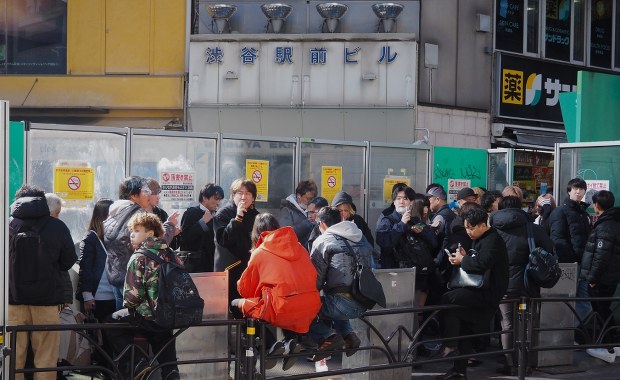 ​"Sok zombie" sieje zniszczenie wśród młodych