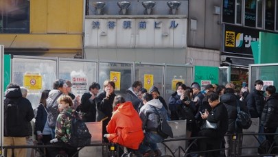 ​"Sok zombie" sieje zniszczenie wśród młodych