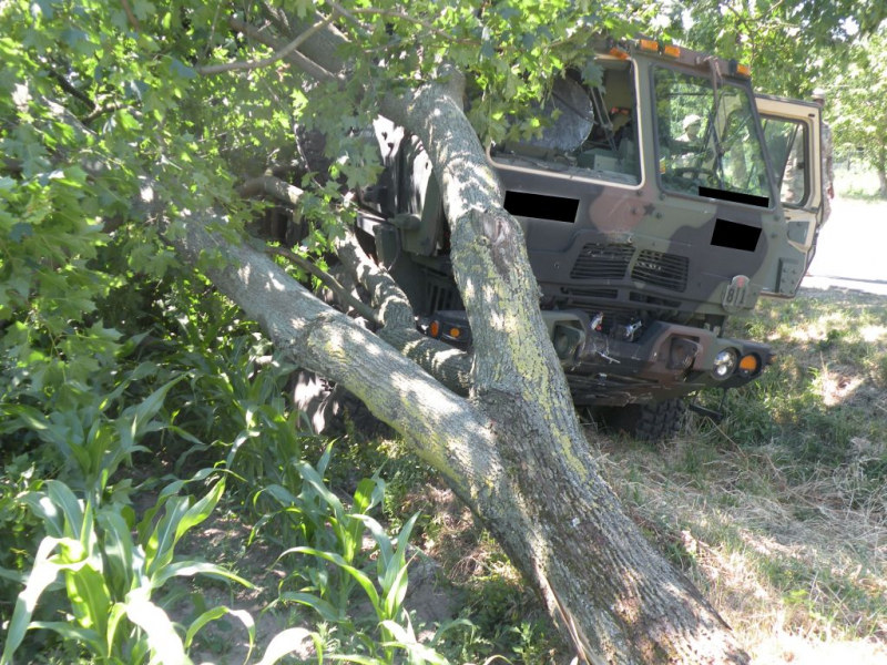 Solidne drzewo poległo w starciu wozem wojskowym / Fot: straż pożarna /Informacja prasowa