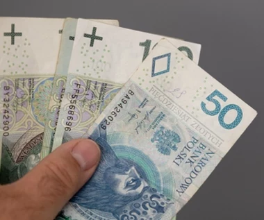 Sondaż o 800 plus dla Ukraińców. Ponad połowa jest za, ale pod warunkiem