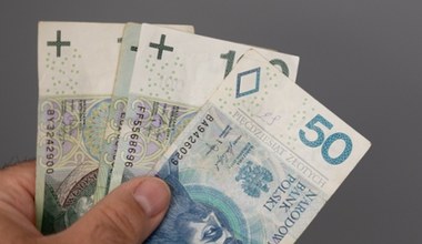 Sondaż o 800 plus dla Ukraińców. Ponad połowa jest za, ale pod warunkiem