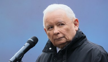 Sondaż: Wybrali następcę Kaczyńskiego. W pierwszej trójce jedna kobieta