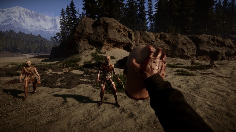 Sons of the Forest rusza w Early Access już za kilkanaście dni! /materiały prasowe