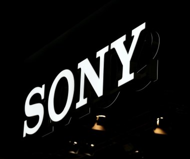 Sony zmuszone przez Federalną Komisję Handlu do ujawnienia tajemnicy!