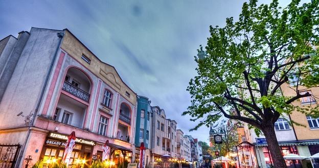 Sopot jest najbardziej zielonym miastem Polski /&copy;123RF/PICSEL