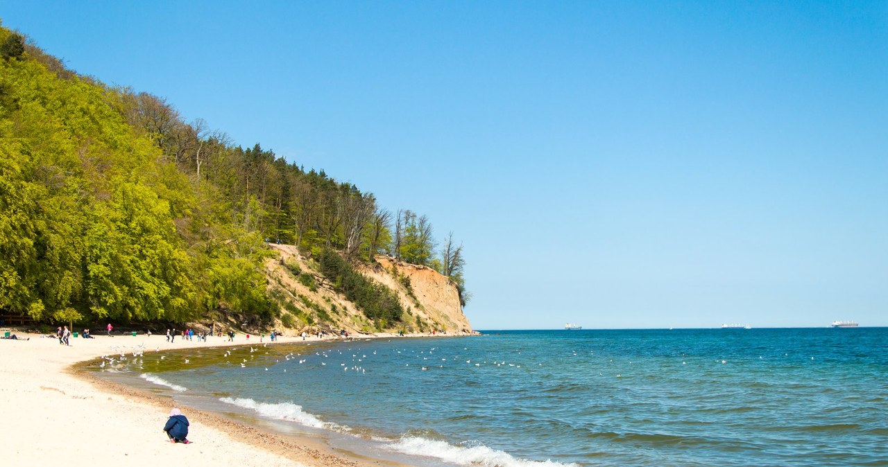 Sopot na liście "Top 50 City Beaches" /Adobe Stock