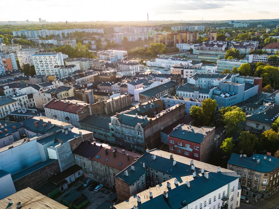 Sosnowiec na zdjęciu ilustracyjnym /Shutterstock