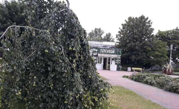 Sosnowiec zyskał ogród botaniczny