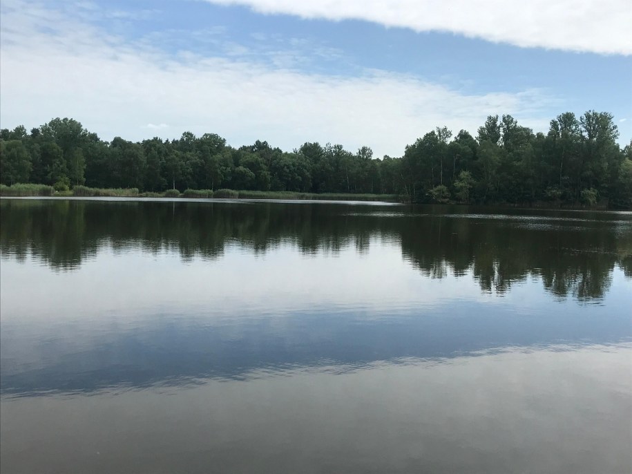 Sosnowiecki Balaton /Marcin Buczek /RMF FM