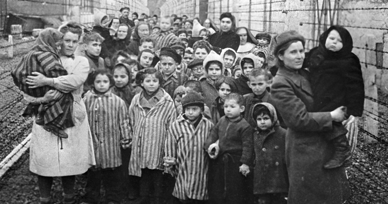 Sowieccy lekarze i przedstawiciele Czerwonego Krzyża wśród najmłodszych więźniów Auschwitz w czasie wyzwolenia obozu /SPUTNIK Russia /East News