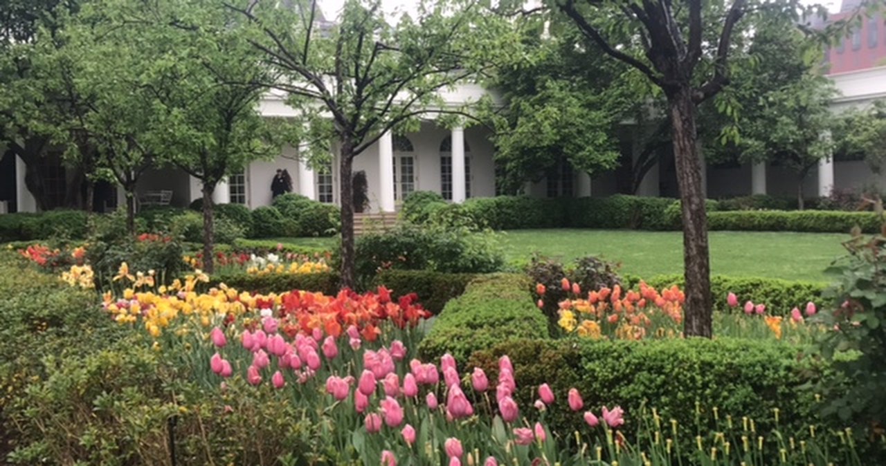 Spacer w ogrodach Białego Domu możliwy tylko 2 razy w roku