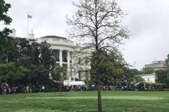 Spacer w ogrodach Białego Domu możliwy tylko 2 razy w roku