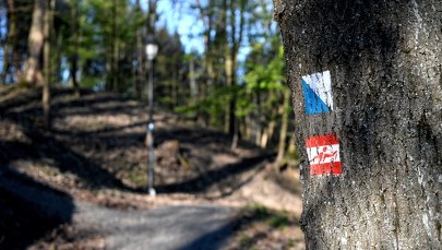 Spacer w parku narodowym? Sprawdź, które szlaki zostały otwarte!