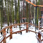 Spacer wśród drzew w Gdyni. Dzielnice połączyła wyjątkowa ścieżka