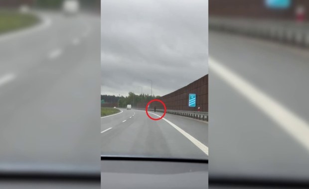 Spacerkiem drogą ekspresową. Niewiarygodne tłumaczenie pieszego