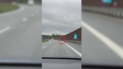 Spacerkiem drogą ekspresową. Niewiarygodne tłumaczenie pieszego