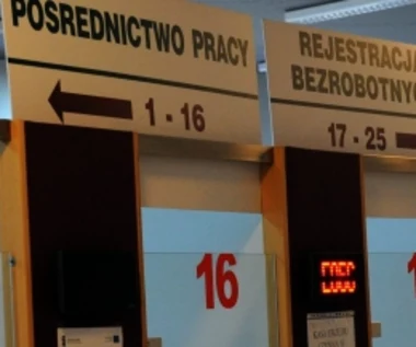 Spadła liczba bezrobotnych. "Najlepsza od 25 lat sytuacja na polskim rynku pracy"