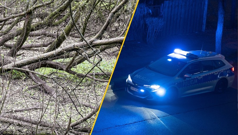 Spał w lesie przykryty gałęziami. Okazało się, że jest na bakier z prawem