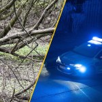 Spał w lesie przykryty gałęziami. Okazało się, że jest na bakier z prawem