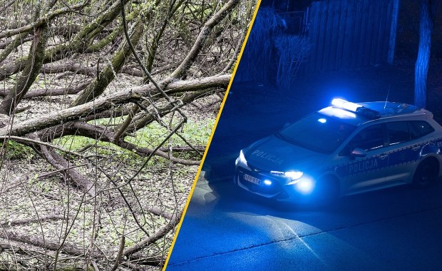 Spał w lesie przykryty gałęziami. Okazało się, że jest na bakier z prawem