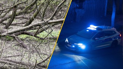 Spał w lesie przykryty gałęziami. Okazało się, że jest na bakier z prawem