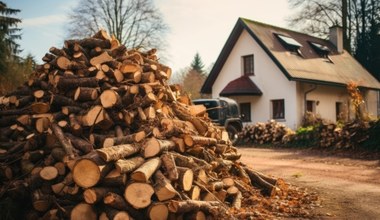 Spalanie drewna wcale nie będzie ograniczone? Branża ostrzega resort klimatu