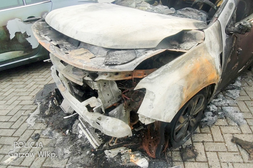 Spalona Dacia Duster /Informacja prasowa