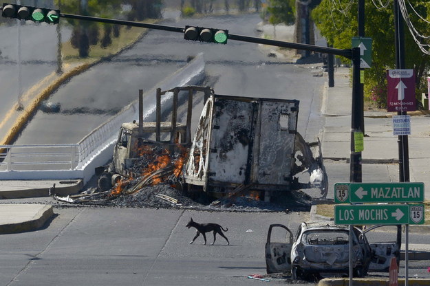 Spalone samochody po zamieszkach w Meksyku /JUAN CARLOS CRUZ /PAP/EPA